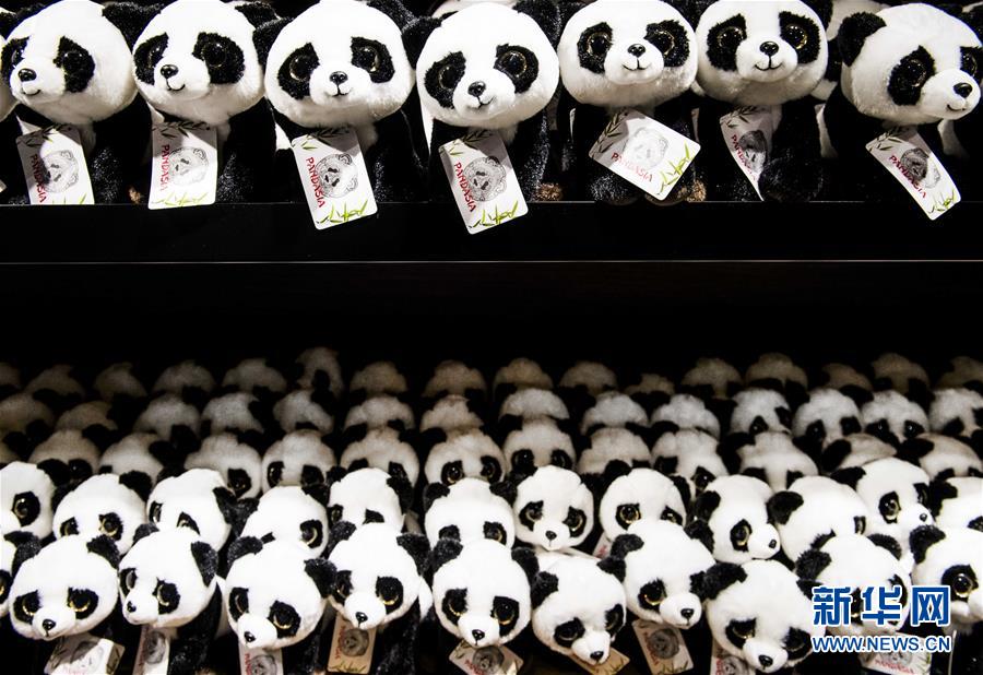 [4]（外代二线）荷兰动物园热盼中国大熊猫