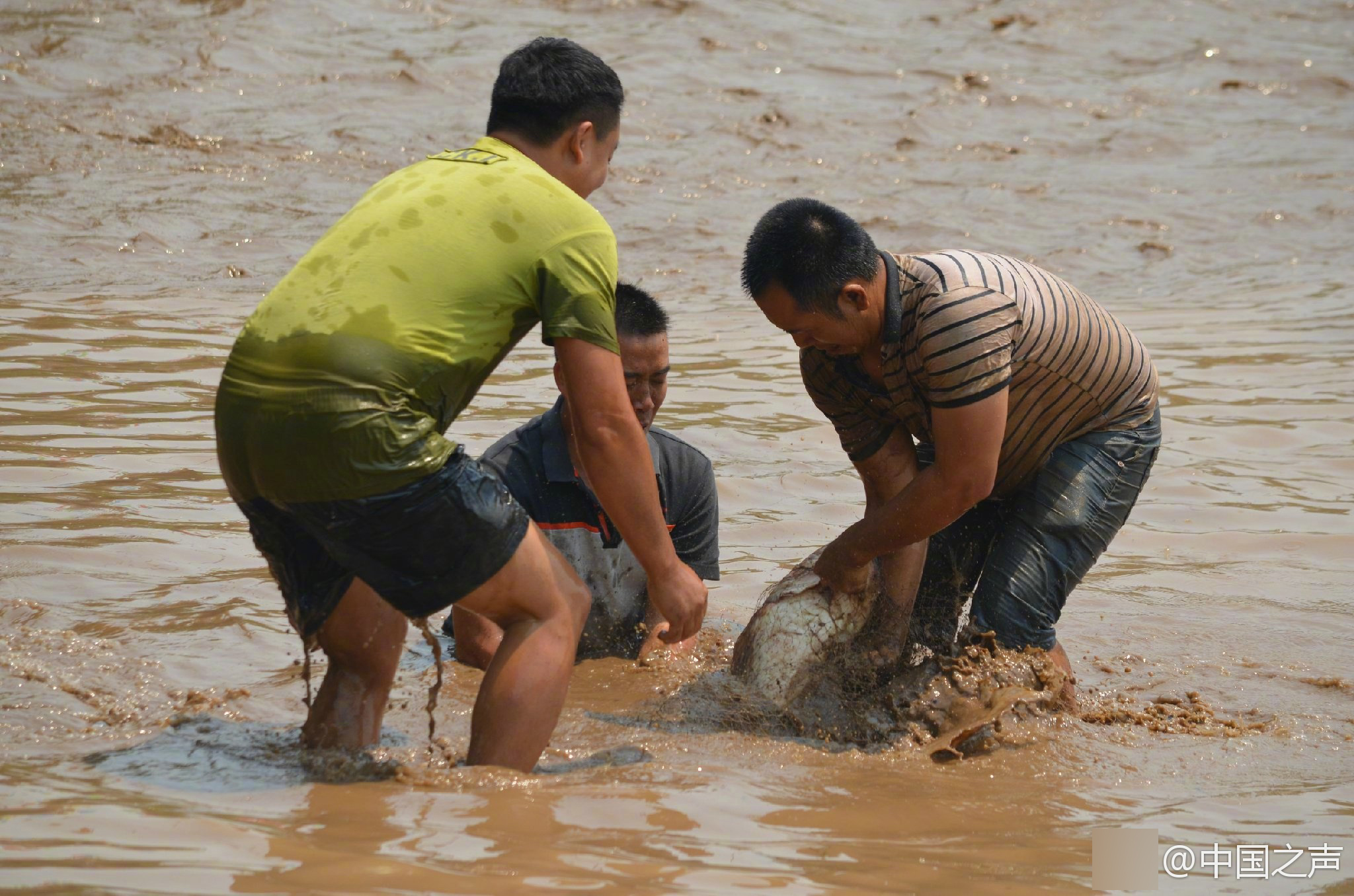 云南孟连万人下河捉神鱼现场0215