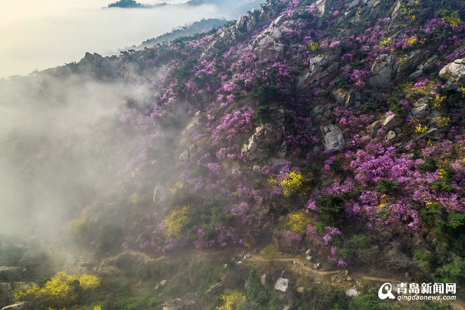 高清：航拍云雾大珠山 鲜花配奇石美不胜收