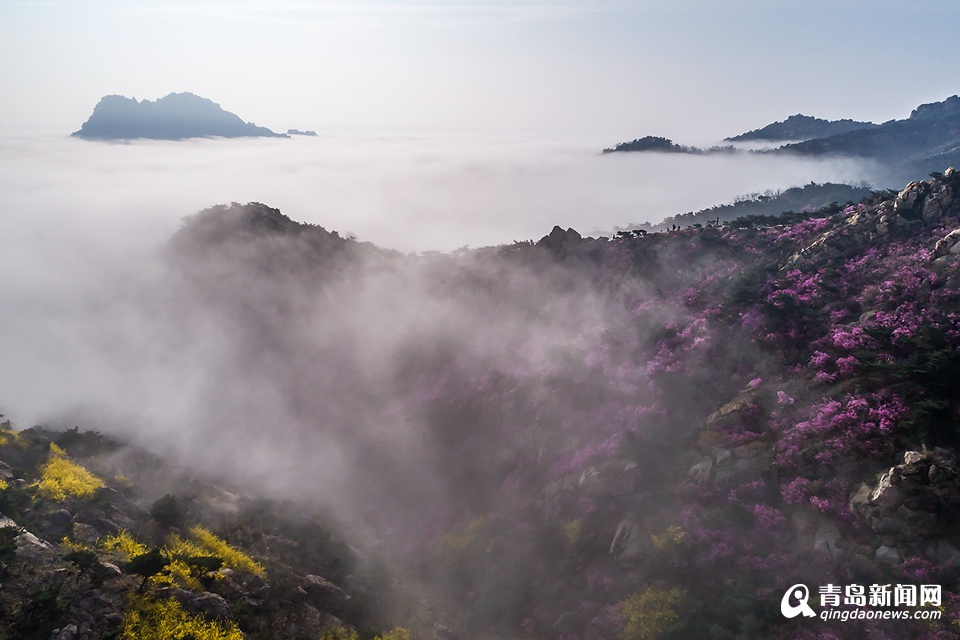 高清：航拍云雾大珠山 鲜花配奇石美不胜收