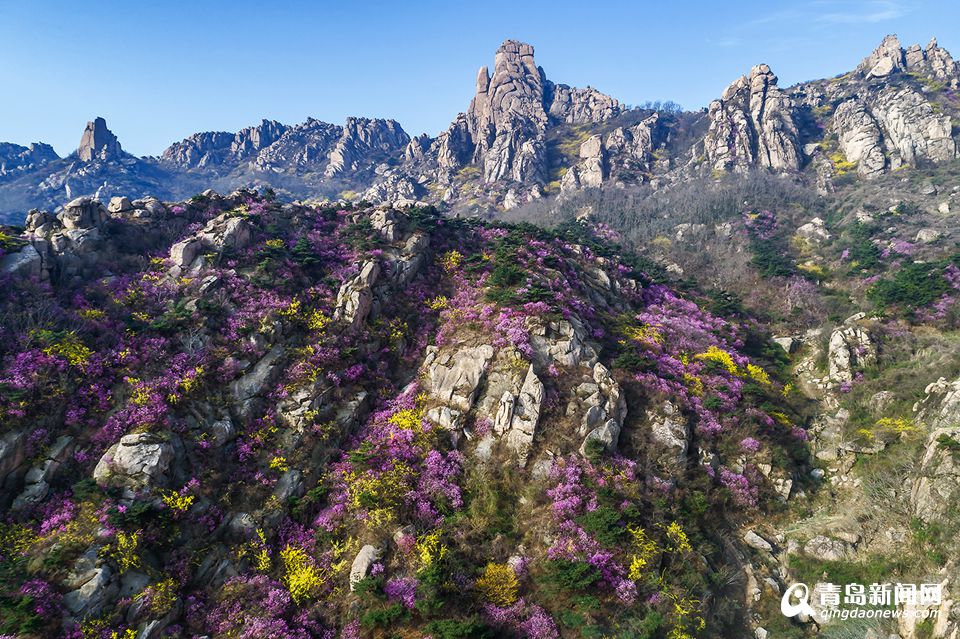 高清：航拍云雾大珠山 鲜花配奇石美不胜收