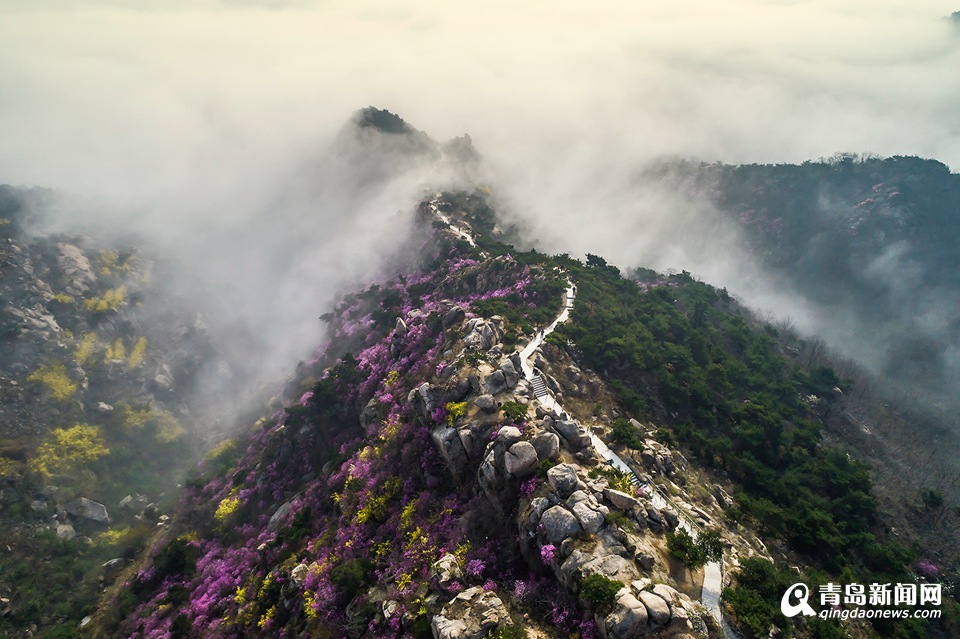 高清：航拍云雾大珠山 鲜花配奇石美不胜收