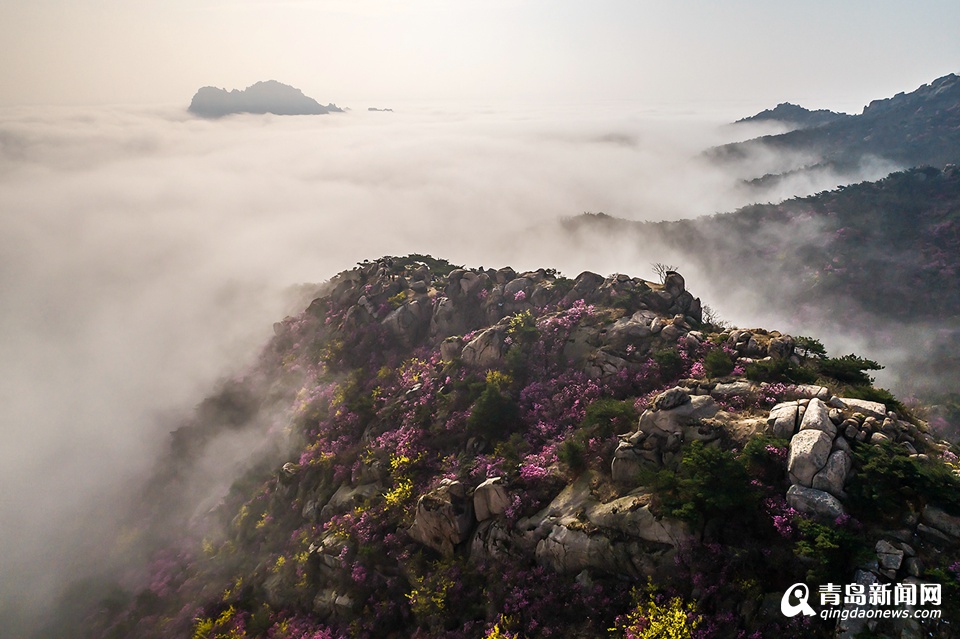 高清：航拍云雾大珠山 鲜花配奇石美不胜收