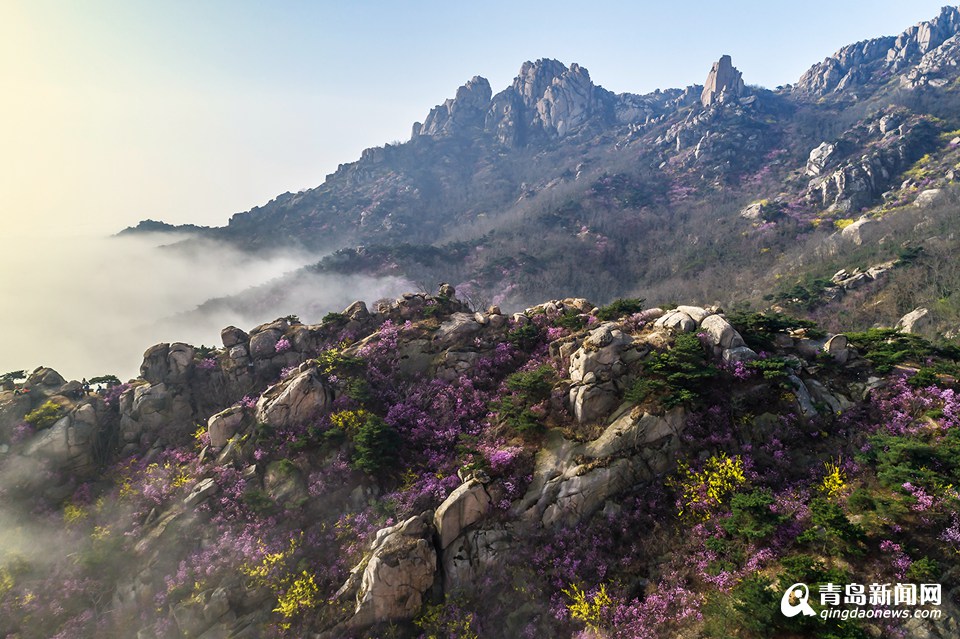 高清：航拍云雾大珠山 鲜花配奇石美不胜收