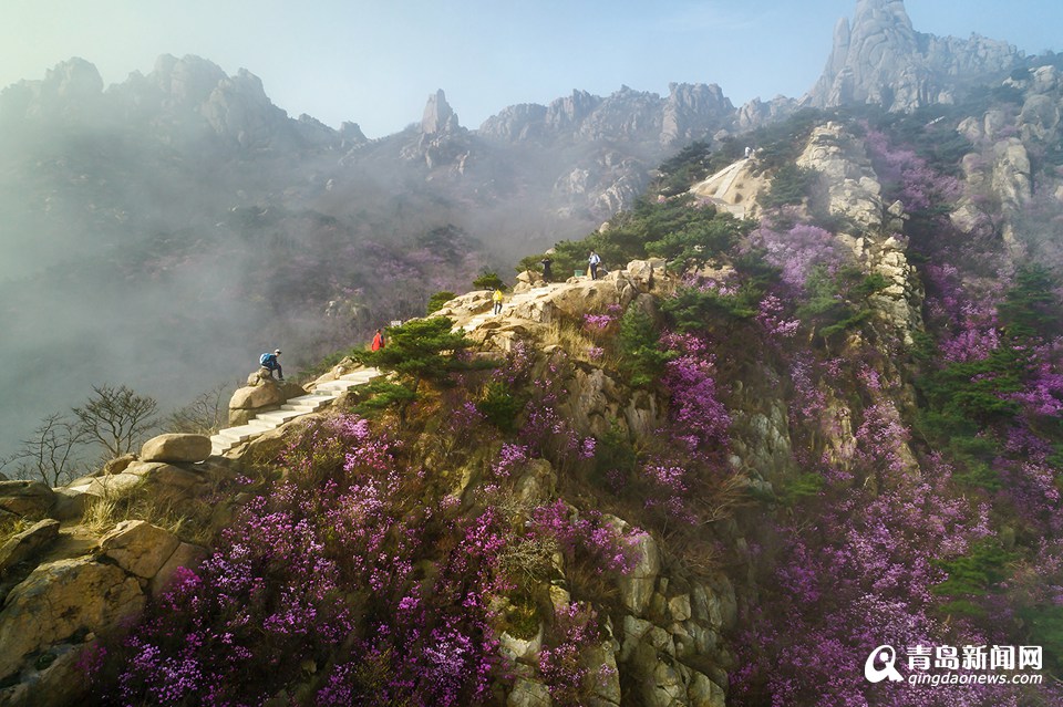 高清：航拍云雾大珠山 鲜花配奇石美不胜收