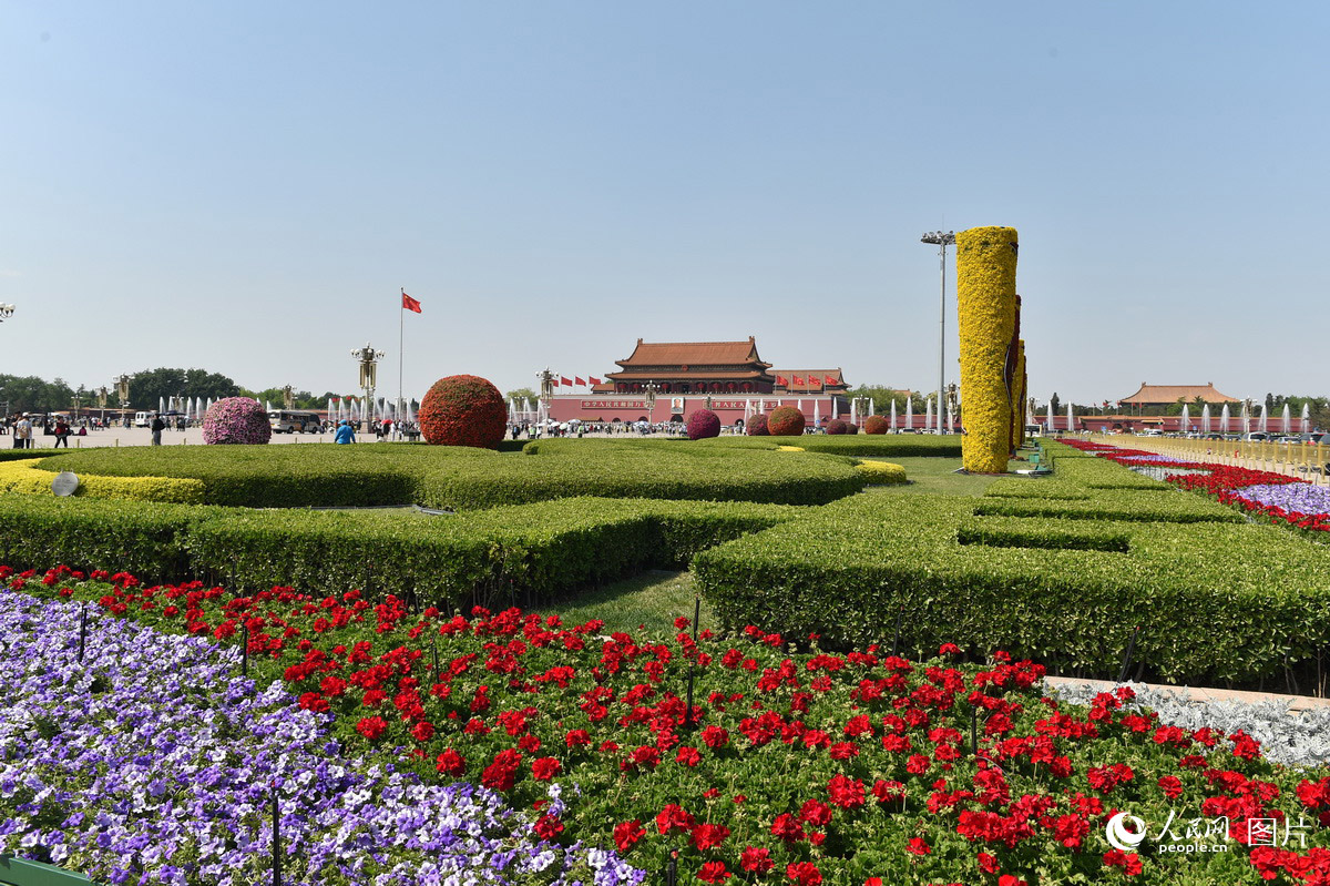 北京天安門廣場裝扮一新 花團錦簇喜迎“五一”