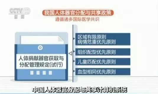 揭秘:中国人体器官到底如何分配?谁可以优先? 揭秘:中国人体器官到底如何分配?谁可以优先?