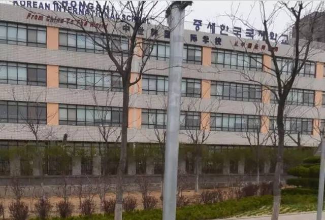 校车起火致11名中韩儿童死亡 事发时车门无法打开