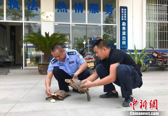 市民饲养国家二级保护动物欲放生被警方制止