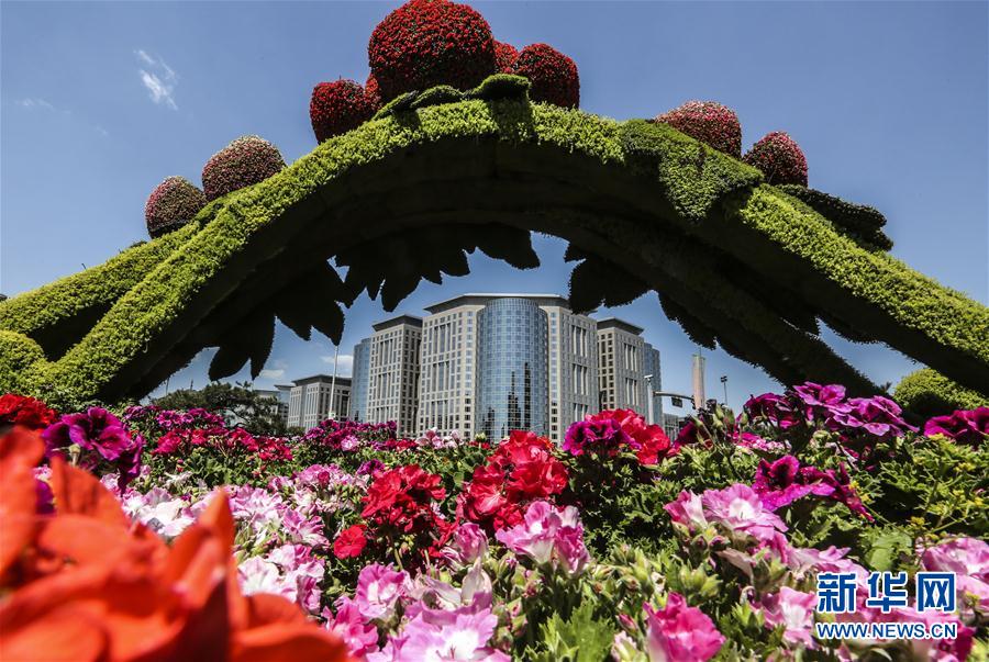 北京新增50多万平米绿化面积迎'一带一路'论坛
