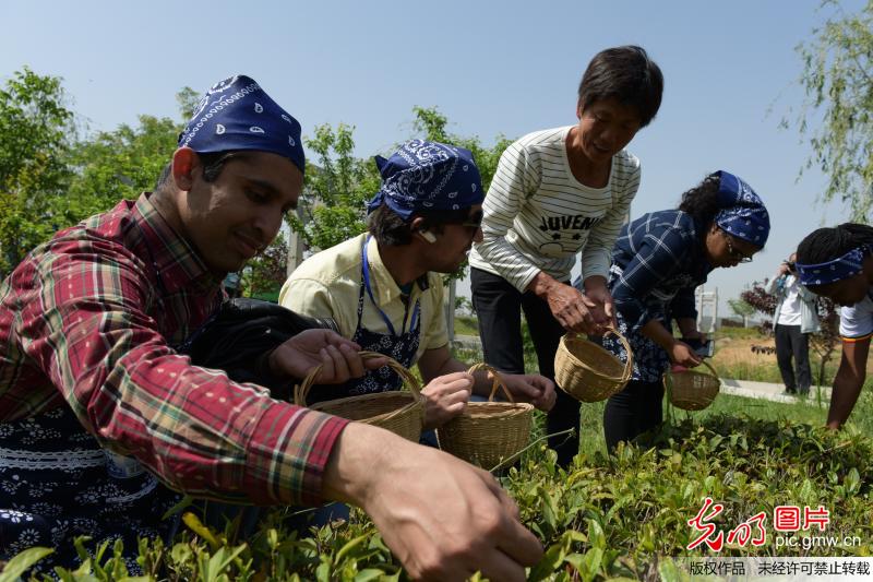 胡鞍鋼：“一帶一路”高峰論壇與世界攜手開啟共贏主義時代