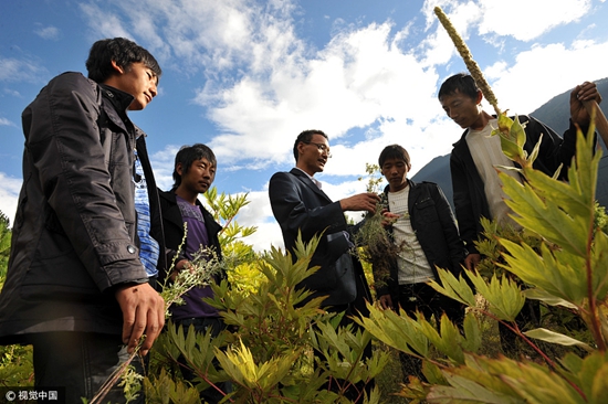 【砥砺奋进的五年】十三载数百藏医出“药州” 【砥砺奋进的五年】十三载数百藏医出“药州”