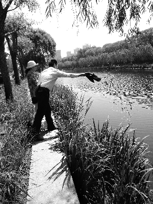 北京亮马河北岸放生南岸捞 十几箱小龙虾就这样倒进了河里