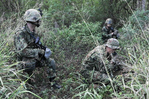 美日英法举行首次联合军演 剑指何方？