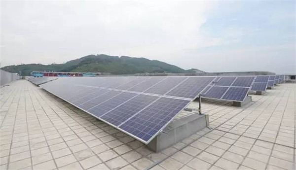 1496201416970045327.jpg 2-2.jpg