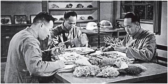 吴孟超:95岁仍站在手术台边的外科医生 吴孟超:95岁仍站在手术台边的外科医生