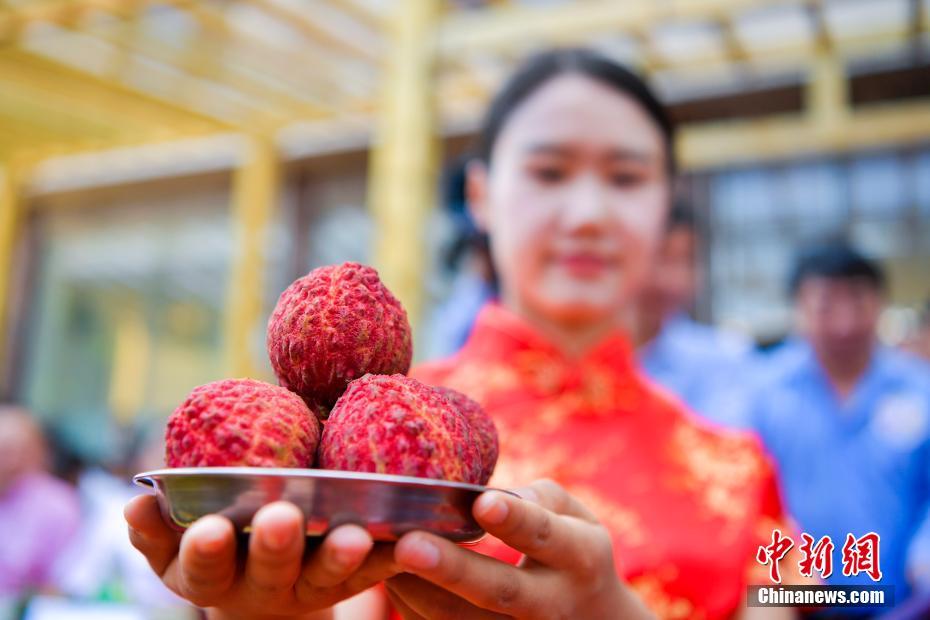 海口“荔枝王”大比拼 最大单果超鸡蛋