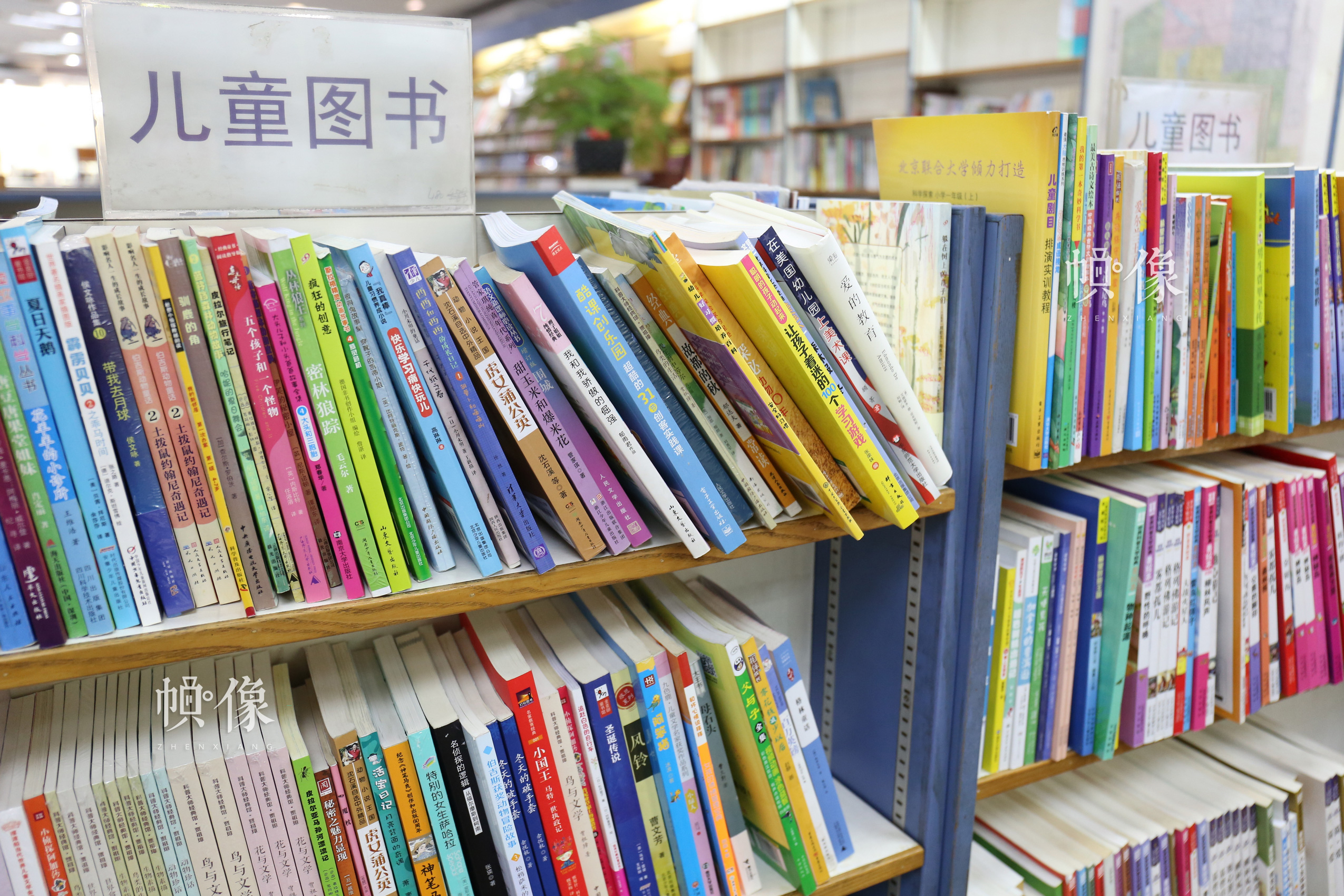 图为北京三联书店美术馆店一角陈列的儿童图书 中国网记者 赵超 摄