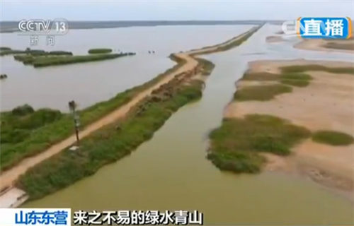 如今的绿水青山