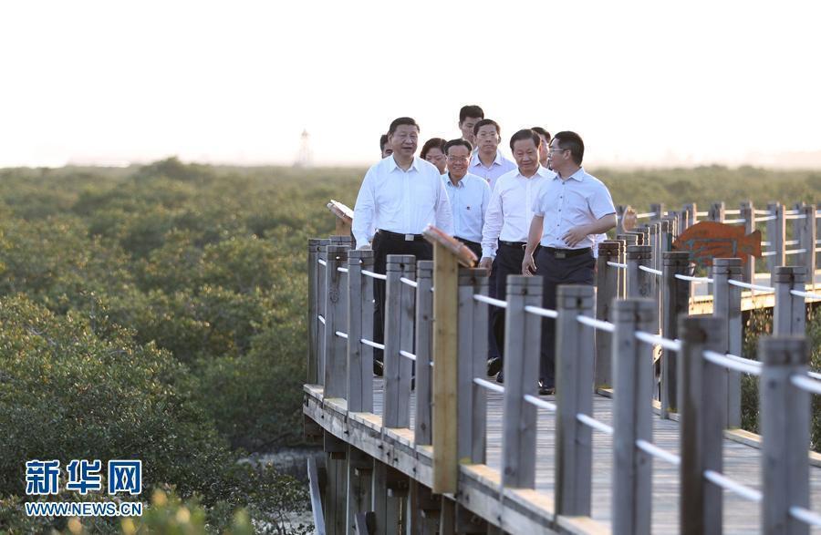 5月26日,习近平在主持中共中央政治局第四十一次集体学习时指出"生态