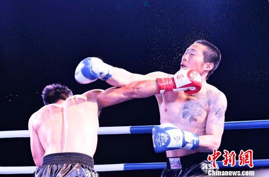 自由搏击视频比赛回放 b8aeed99a01e1aa8318a35.jpg