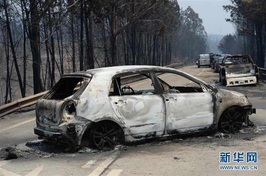 葡萄牙森林火灾至少62人死亡 政府宣布进入紧急状态