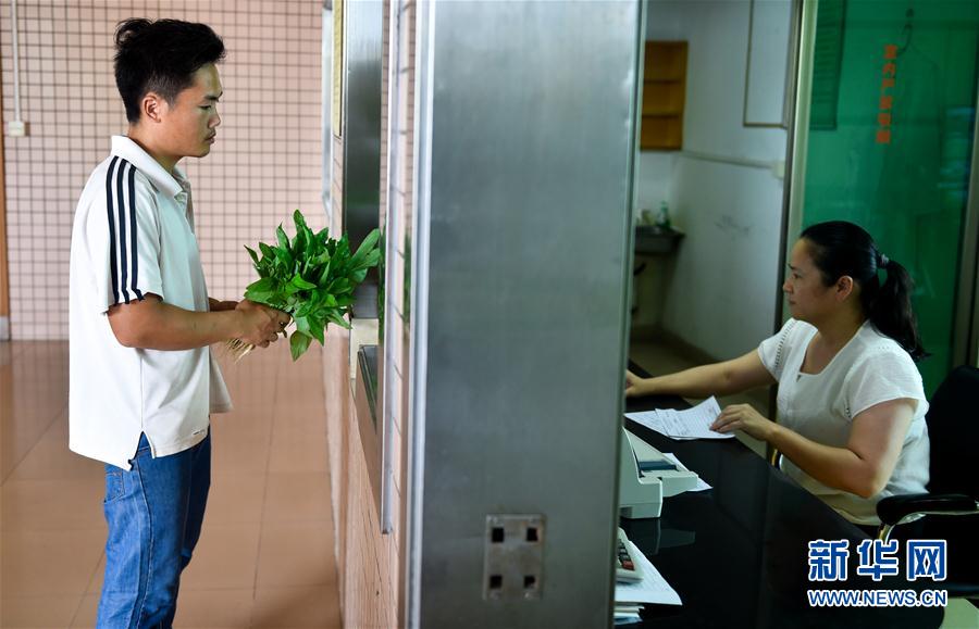 （香港回归二十周年）（4）从田间到菜篮——供港蔬菜的跨境之旅