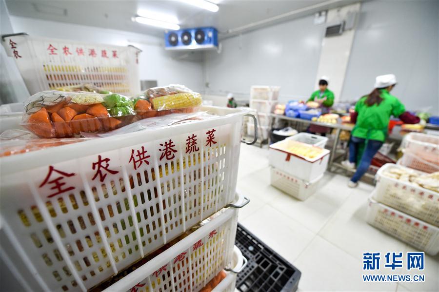 （香港回归二十周年）（7）从田间到菜篮——供港蔬菜的跨境之旅