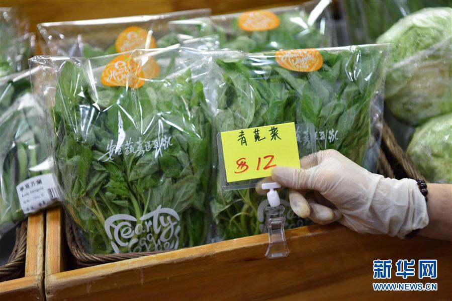 （香港回归二十周年）（15）从田间到菜篮——供港蔬菜的跨境之旅