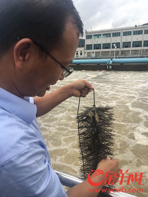 東深供水原水生物硝化處理工程 