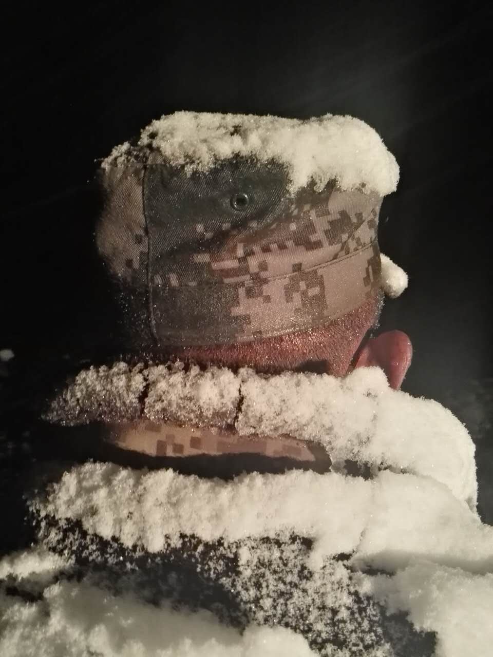 官兵身上落满了积雪。