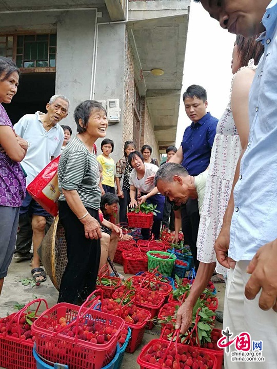 湖南洞口县杨梅滞销 各方助力4天售出3.6万斤 湖南洞口县杨梅滞销 各方助力4天售出3.6万斤