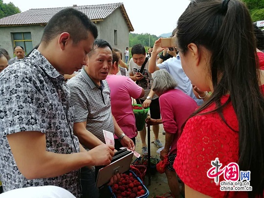 湖南洞口县杨梅滞销 各方助力4天售出3.6万斤 湖南洞口县杨梅滞销 各方助力4天售出3.6万斤