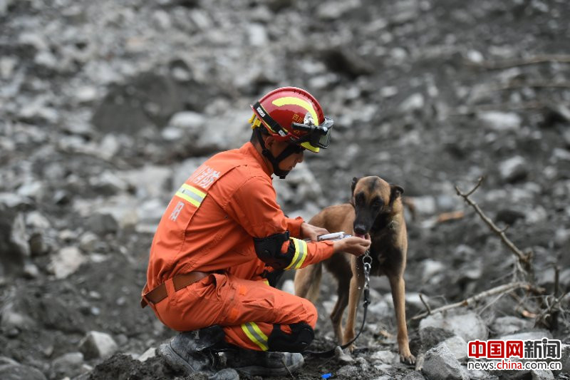 茂县新磨村山体垮塌 消防员携搜救犬持续搜救(图 02 11)