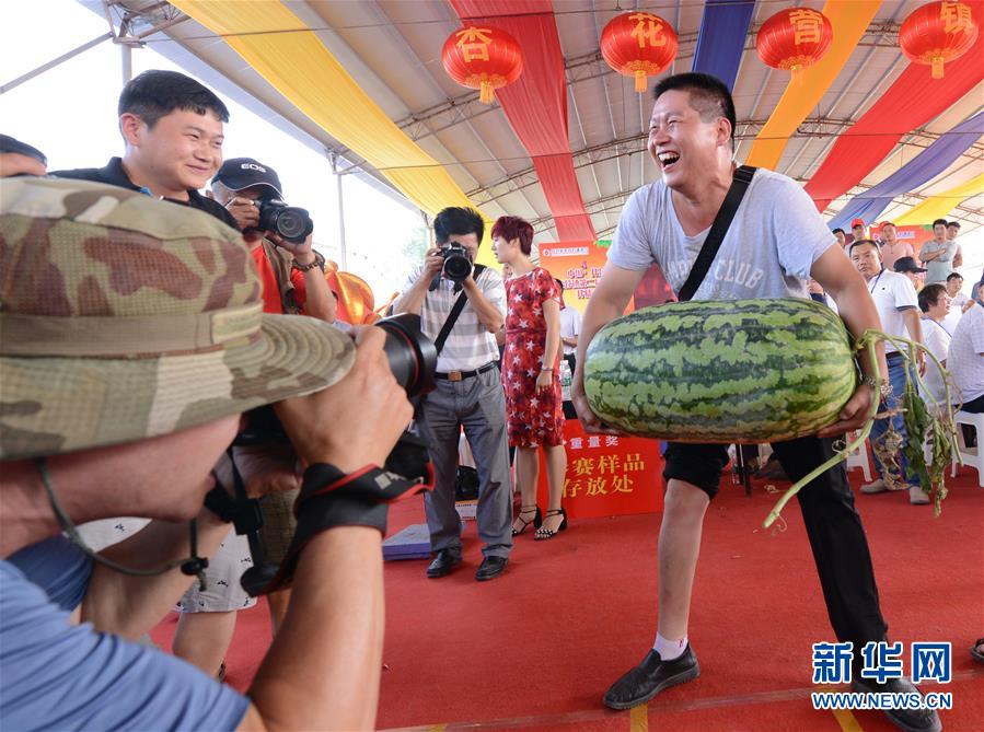 #（社会）（1）河南开封：“斗瓜”大赛精彩纷呈