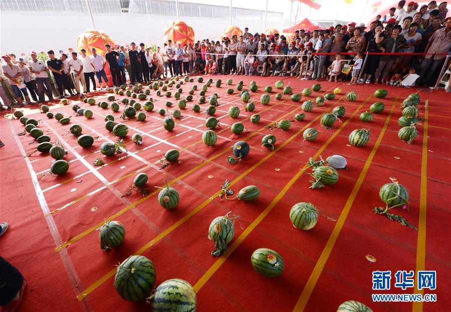 #（社会）（2）河南开封：“斗瓜”大赛精彩纷呈