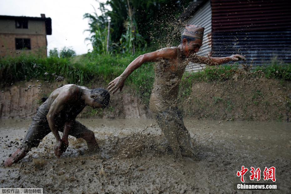 当地农民在泥浆中玩耍，庆祝尼泊尔“水稻日”。