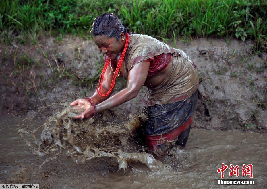 当地农民在泥浆中玩耍，庆祝尼泊尔“水稻日”。