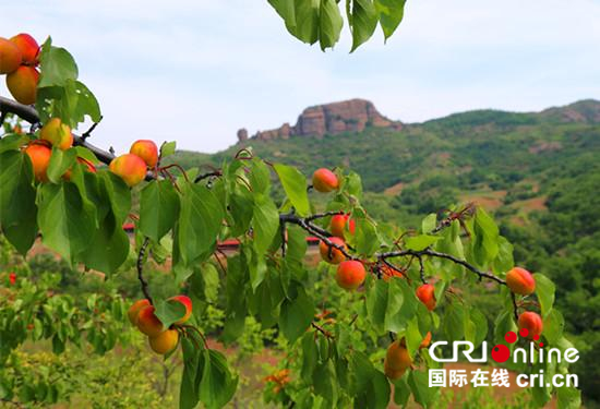 图片默认标题 图片默认标题_fororder_微信图片_20170623171605