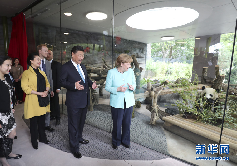 7月5日，國家主席習近平同德國總理默克爾共同出席柏林動物園大熊貓館開館儀式。這是習近平和夫人彭麗媛同默克爾在大熊貓館。 新華社記者馬佔成 攝 