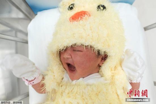 当地时间2017年1月27日，泰国曼谷，医院为新生儿穿上小鸡的衣服，迎接鸡年的到来。