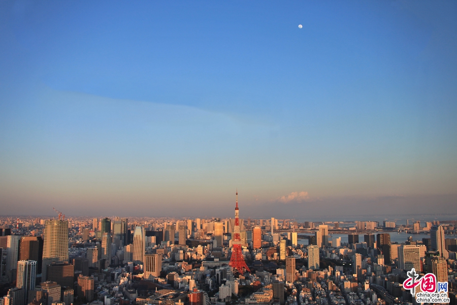 夕阳映照下的东京塔