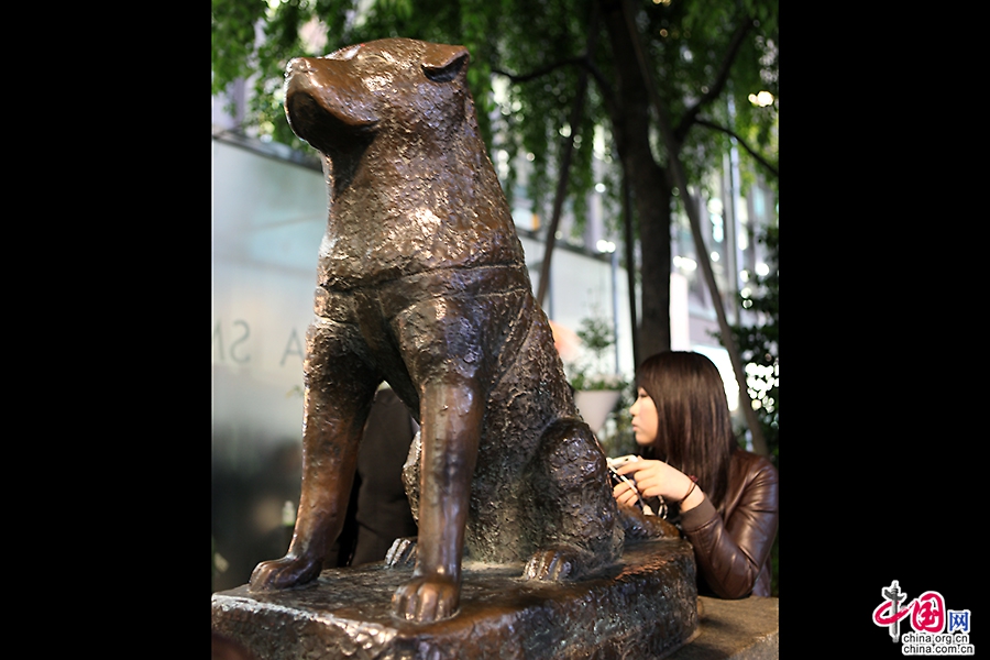 涩谷车站处的八公犬雕像