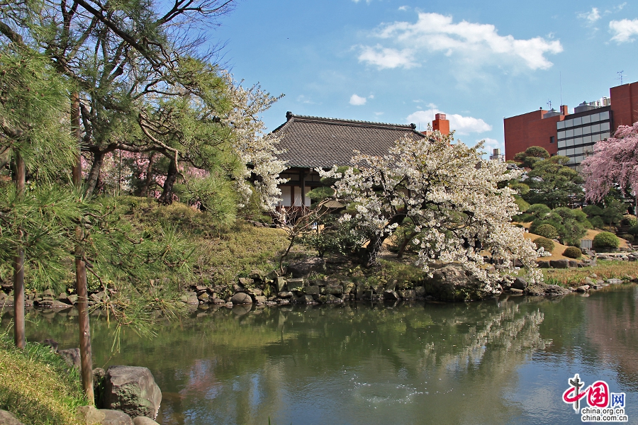 传法院是浅草寺历代住持居住的场所