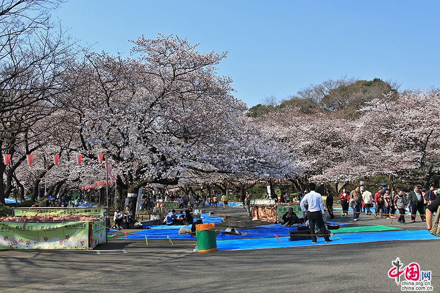 上野公園位於日本東京市台東區
