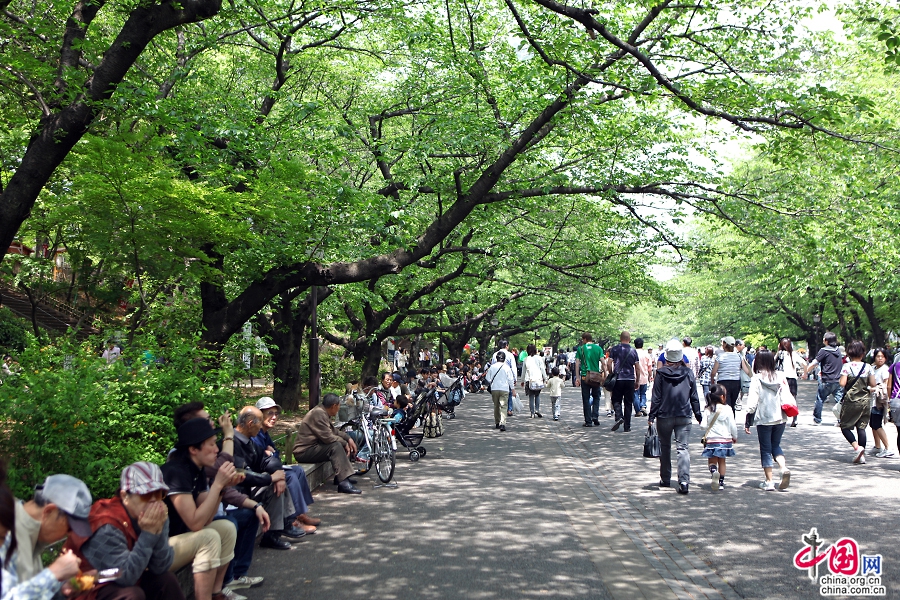 上野公园位于日本东京市台东区