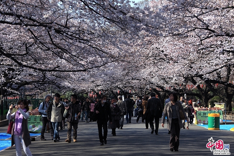 上野公園位於日本東京市台東區