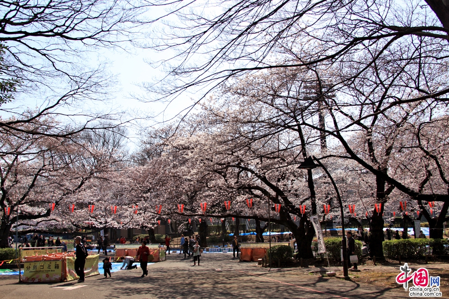 上野公園位於日本東京市台東區