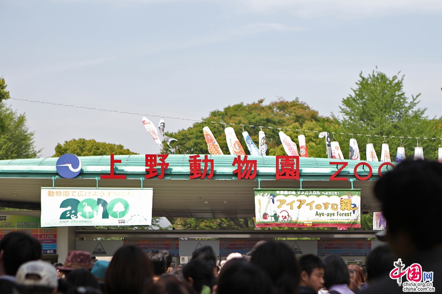 上野動物園開放于1882年