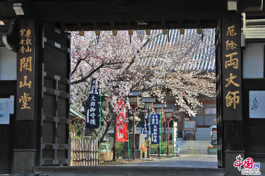 宽永寺山门